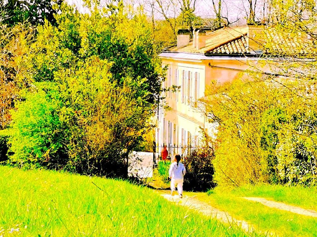 Fabuleux - Domaine Du Moulin D'Andraut Bordeaux-Chevaux-Golf-St Emilion Villa Montussan Ngoại thất bức ảnh