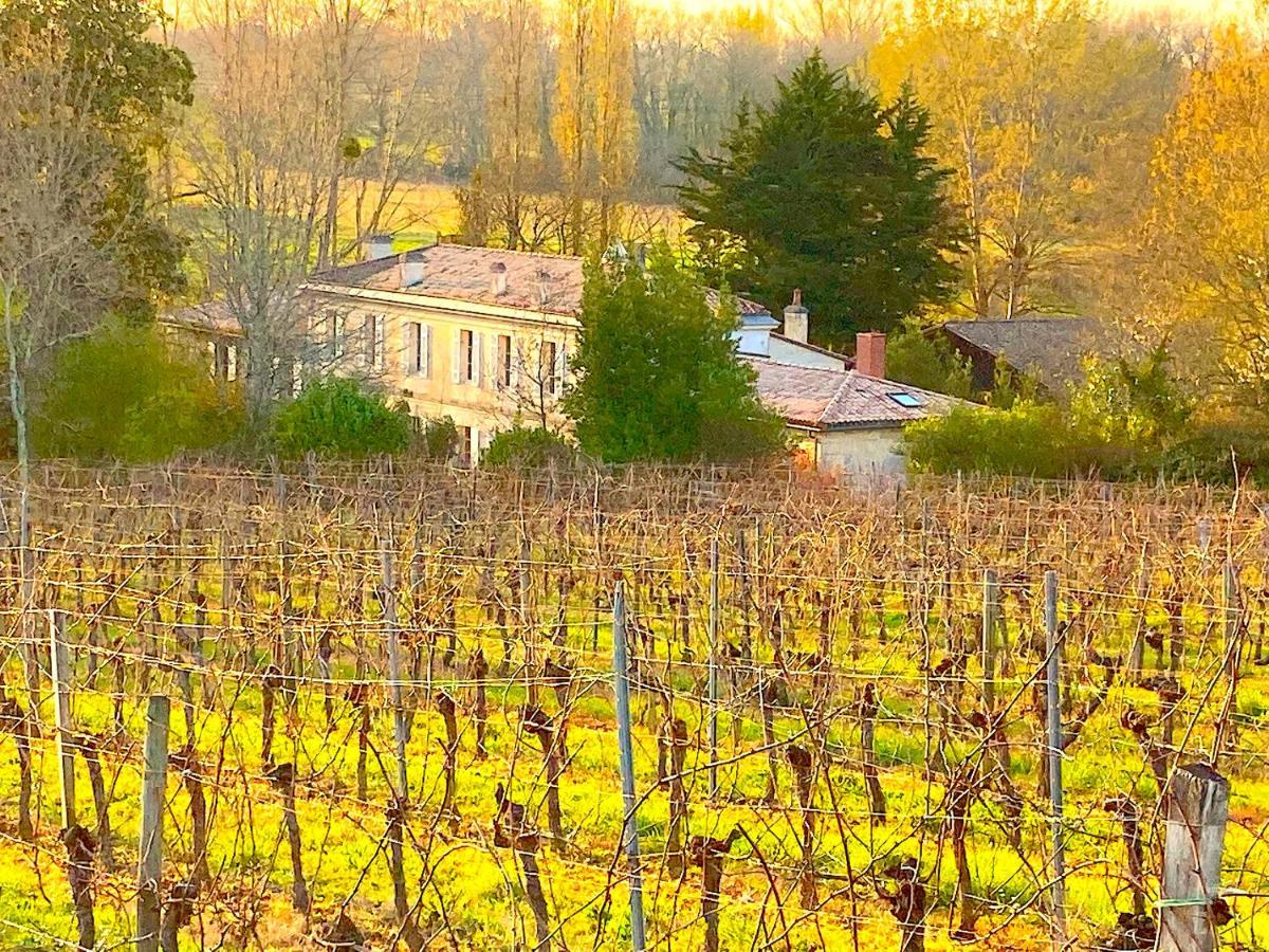 Fabuleux - Domaine Du Moulin D'Andraut Bordeaux-Chevaux-Golf-St Emilion Villa Montussan Ngoại thất bức ảnh