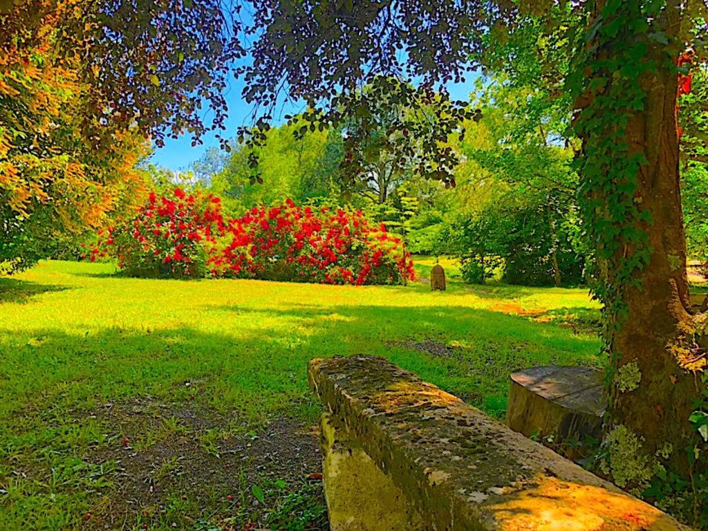 Fabuleux - Domaine Du Moulin D'Andraut Bordeaux-Chevaux-Golf-St Emilion Villa Montussan Ngoại thất bức ảnh