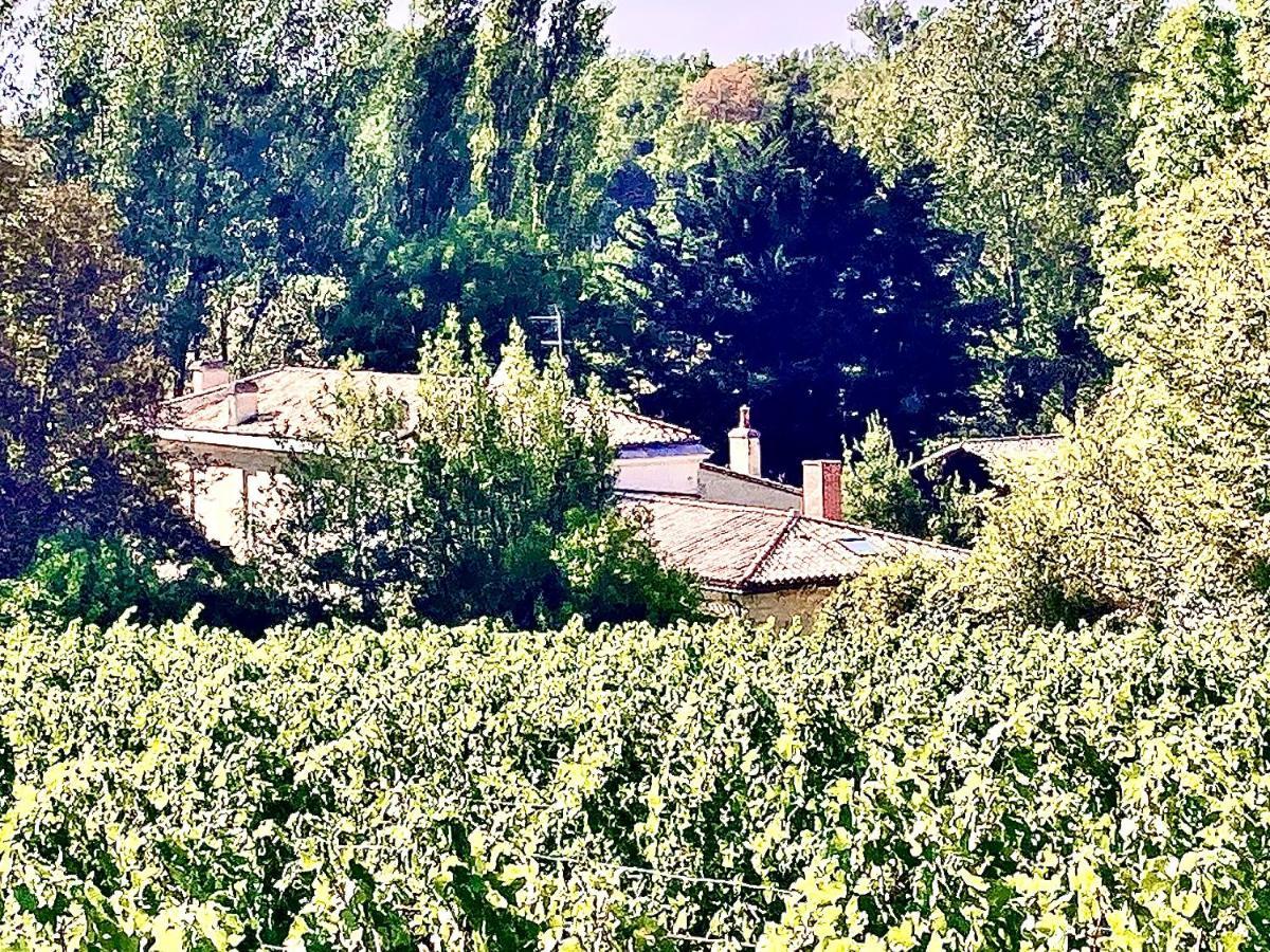 Fabuleux - Domaine Du Moulin D'Andraut Bordeaux-Chevaux-Golf-St Emilion Villa Montussan Ngoại thất bức ảnh