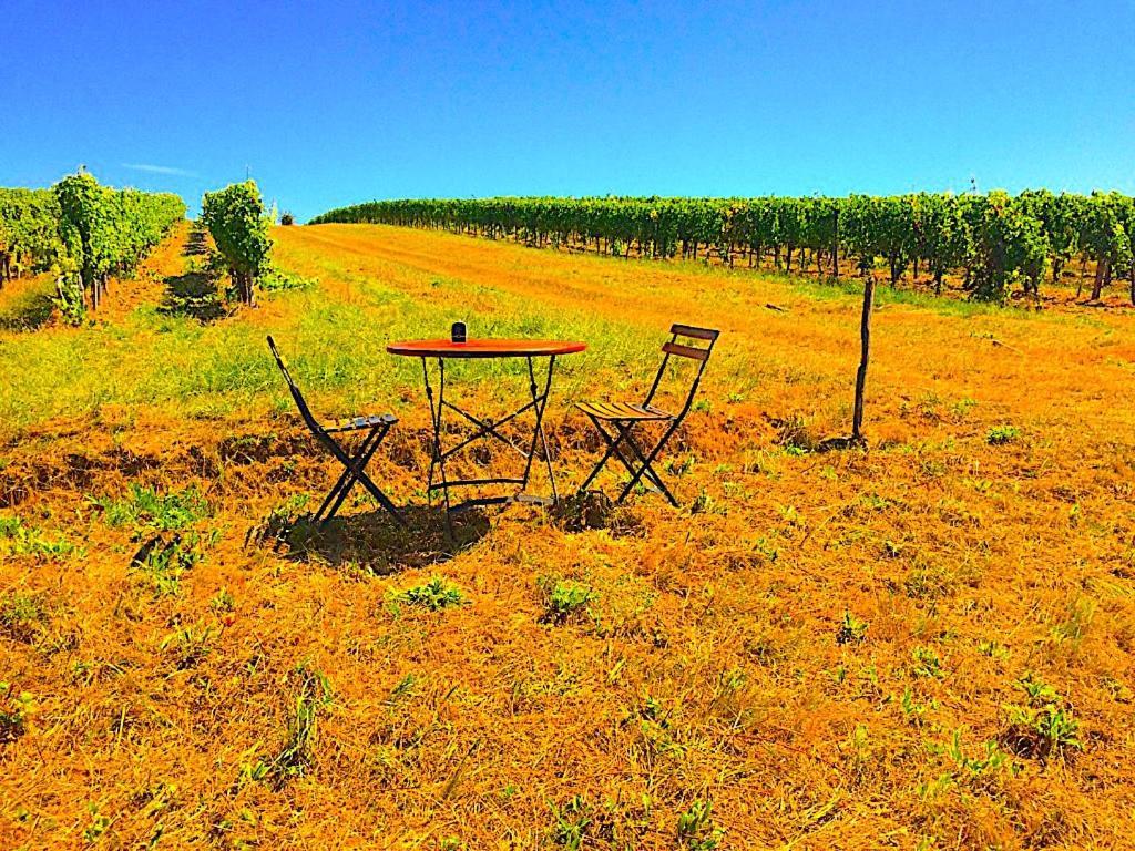 Fabuleux - Domaine Du Moulin D'Andraut Bordeaux-Chevaux-Golf-St Emilion Villa Montussan Ngoại thất bức ảnh